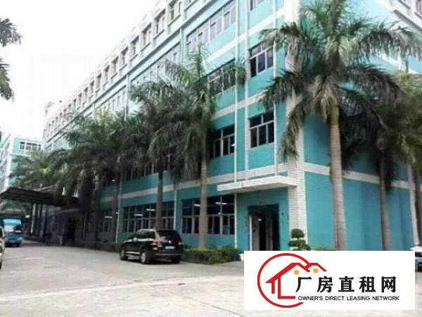 
出租龙岗坪地国际低碳城工业园招商1千平米分租适合科研，办公