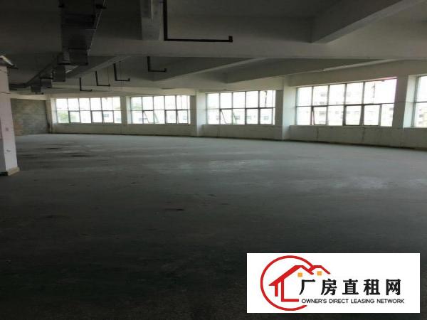 
坪地坪西新出1350平米标准厂房