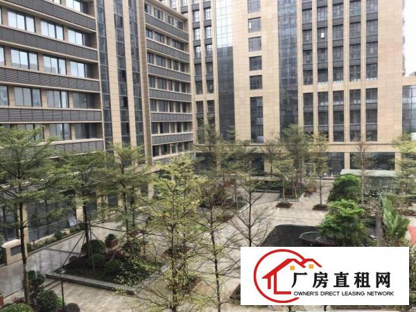 
龙岗坪地980平高带红本新厂房低碳城旁可做净水器研发