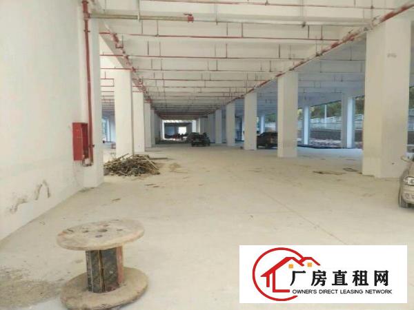 
出租龙岗区坪地全新产业园150000平米火热招租.欢迎致电.