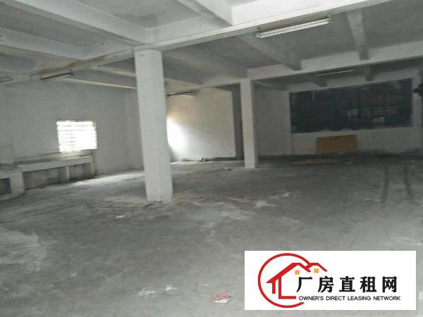 
出租龙岗区坪地独院钢构2600平低价出租