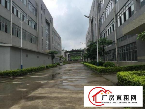
出租龙岗区坪地低碳城全新红本厂房。