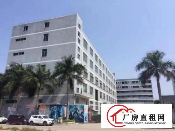 
出租龙岗区坪地龙岗大道旁