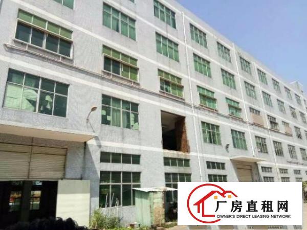 
出租龙岗区坪地龙岗大道旁