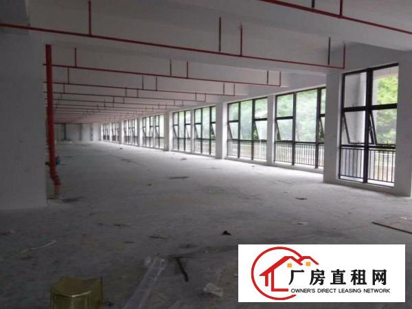 
出租龙岗区坪地龙岗大道旁