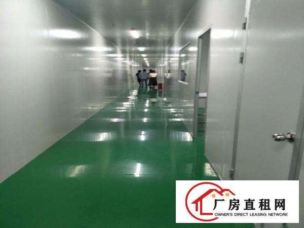 
出租龙岗区坪地龙岗大道旁