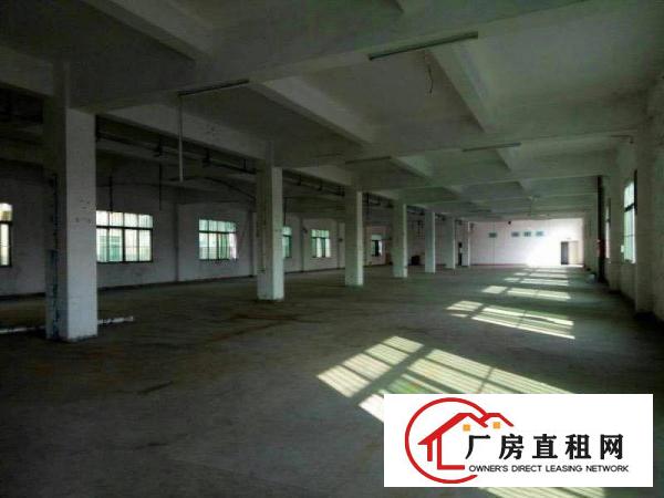 
出租龙岗坪地年丰一楼厂房包管理费