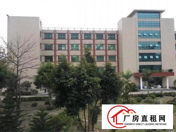 
坪地原房东独院厂房6800可分租