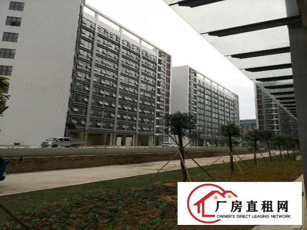 
坪地低碳城厂房出租10万平米