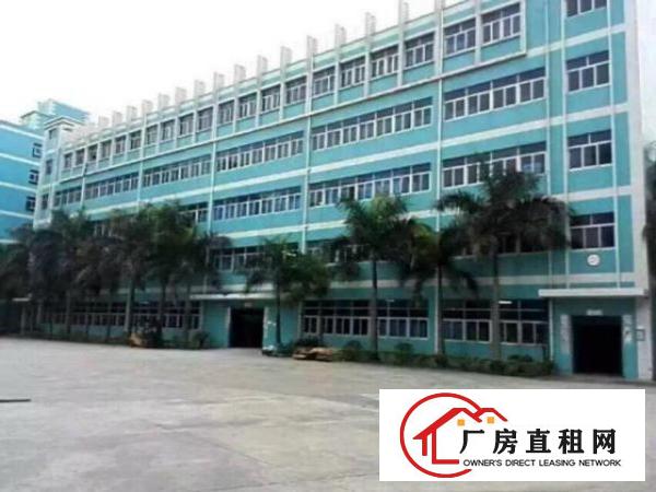 
出租龙岗区坪地六联厂房出租