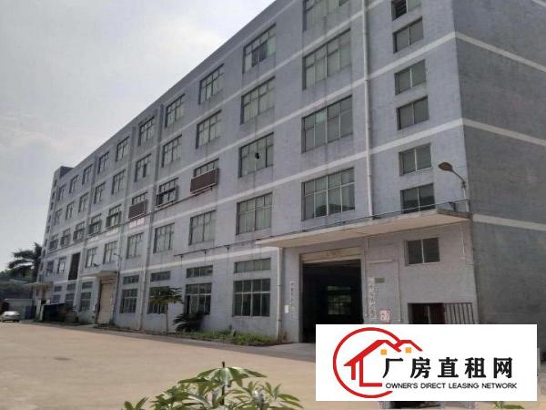 
出租龙岗区坪地独院厂房