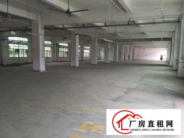 
出租龙岗区坪地独院厂房