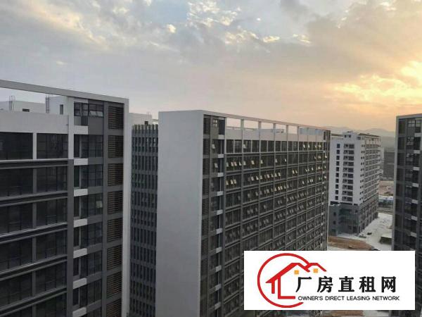 
150000万平高新企业南北通采光好全新红本厂房