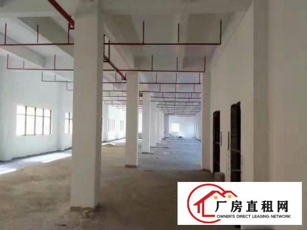 
150000万平高新企业南北通采光好全新红本厂房