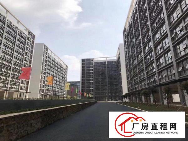
大型企业厂房招租龙岗低碳城高端化形象好交通方便可分租