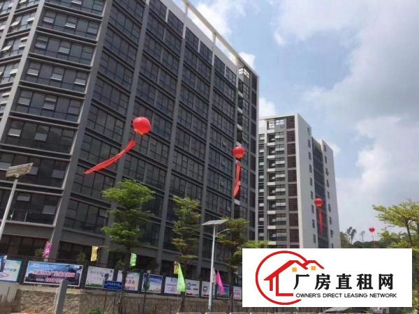 
大型企业厂房招租龙岗低碳城高端化形象好交通方便可分租