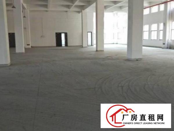 
龙岗坪地国际低碳城旁，招租高端电子，设备，医学器械等