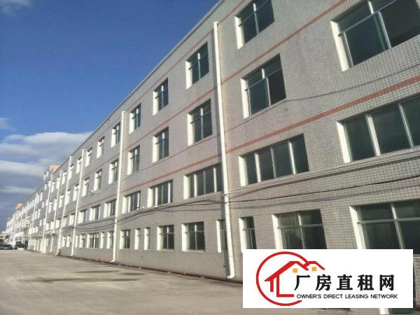 
龙岗坪地60000平米厂房出租，可分租