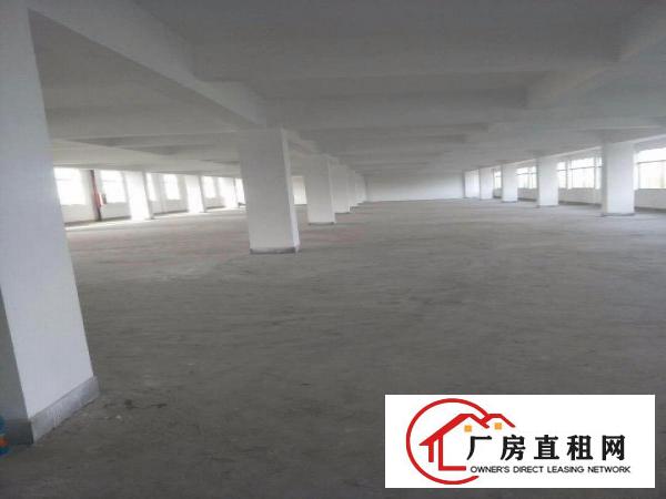
龙岗坪地60000平米厂房出租，可分租