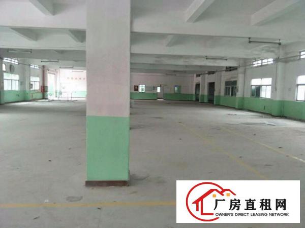 
龙岗坪地厂房出租