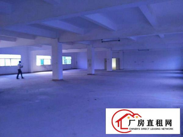 
龙岗坪地厂房出租