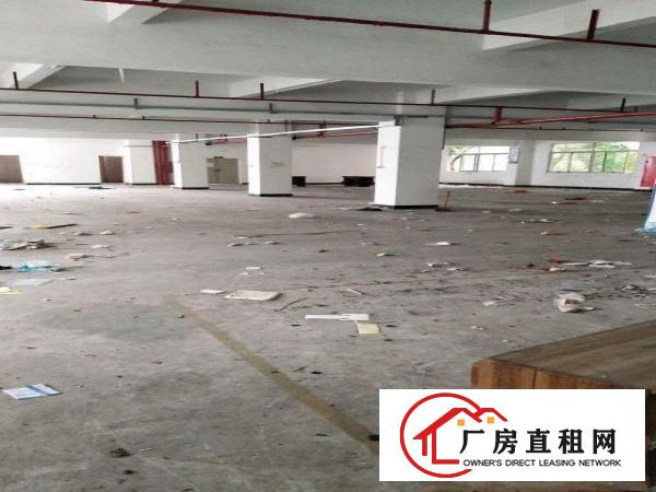 
龙岗坪地坪地沃尔玛后面独院厂房7200平米招租