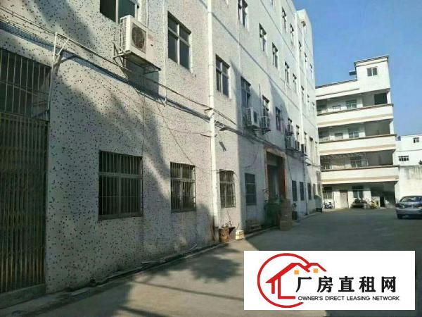 
龙岗龙东，独院厂房