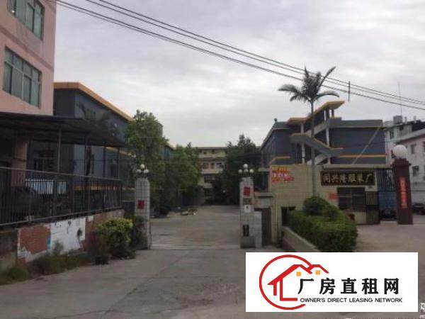 
出租龙岗区坪地龙岗大道旁全面翻新独院厂房