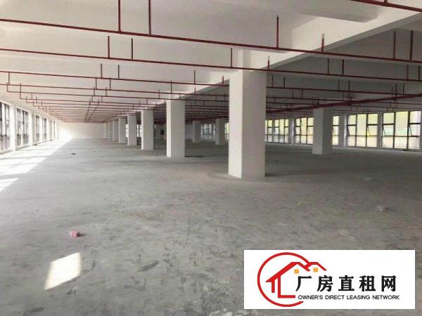 
龙岗坪地150000平方带红本标准独院厂