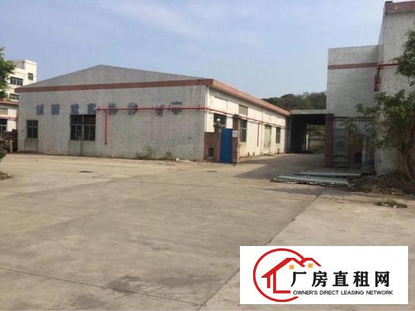 
龙岗单一层标准独院厂房招租