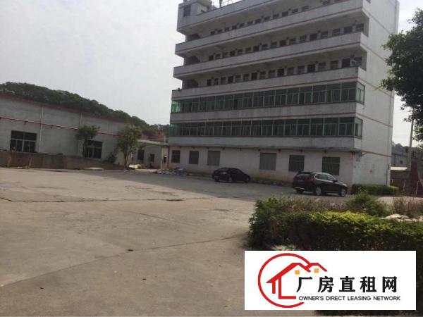 
龙岗单一层标准独院厂房招租