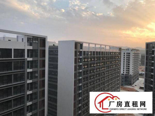 
龙岗区低碳城片区全新15万红本厂房火热招商中！