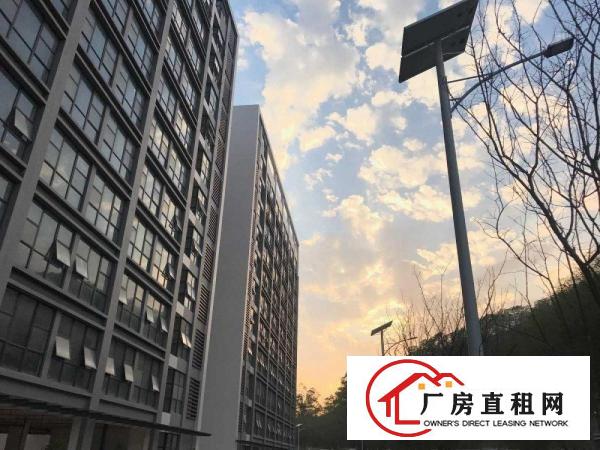 
龙岗区低碳城片区全新15万红本厂房火热招商中！