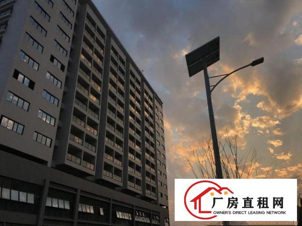 
龙岗区低碳城片区全新15万红本厂房火热招商中！