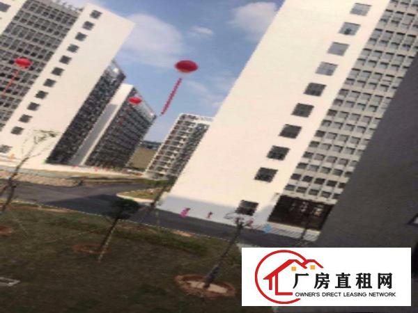
龙岗区低碳城片区全新15万红本厂房火热招商中！