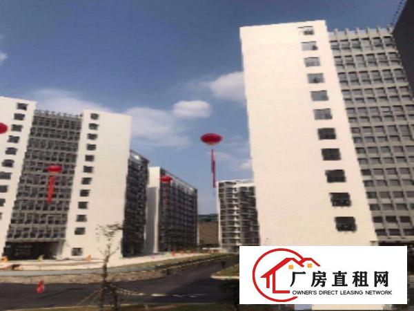 
龙岗区低碳城片区全新15万红本厂房火热招商中！