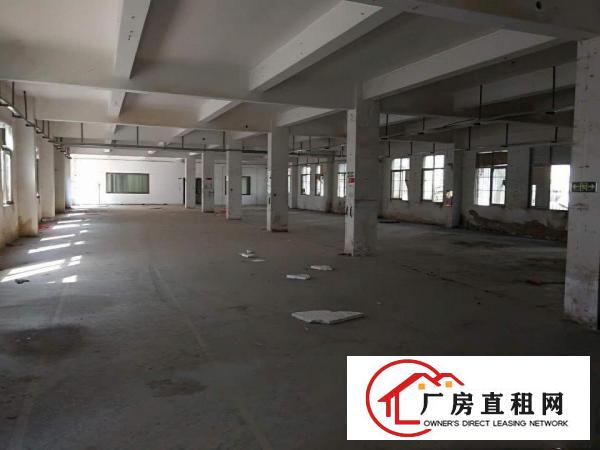 
龙岗坪地坪东1楼厂房2200平米出租