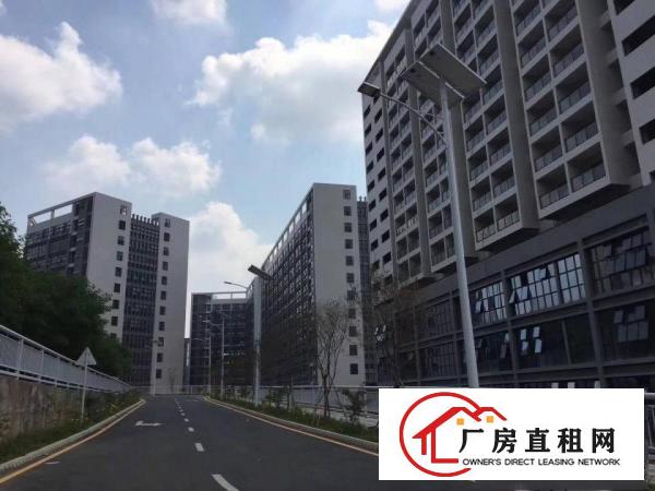 
坪地国际低碳城全新15万平方高端园区火热招商