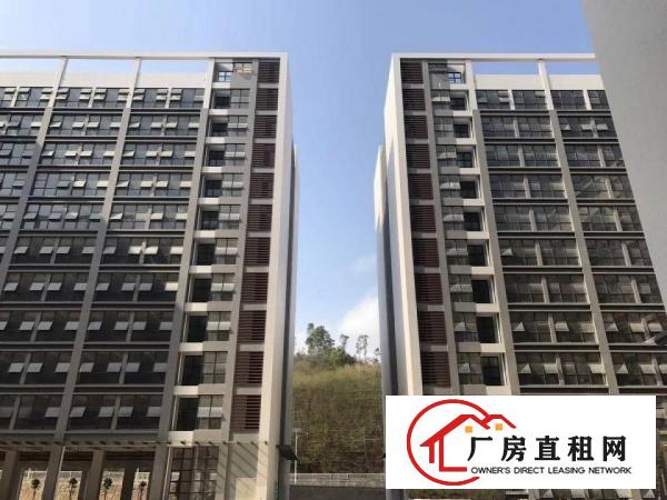 
坪地国际低碳城全新15万平方高端园区火热招商