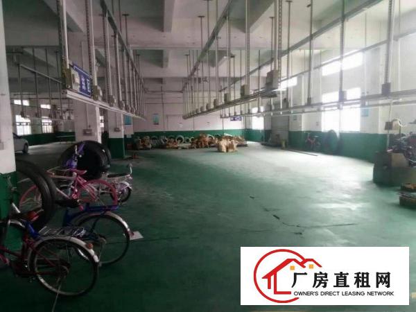 
龙岗坪地新出一楼带装修厂房1300平米出租无公摊
