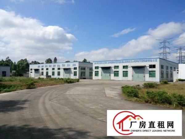 
房东直租坪地六联一楼厂房5000平方米急出租