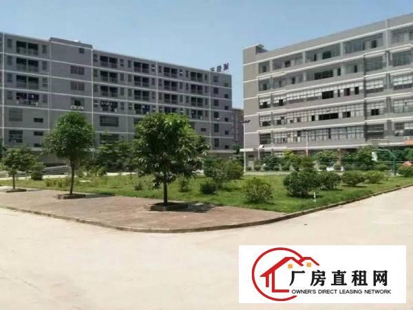 
坪地高桥厂房二楼1500平方带装修出租