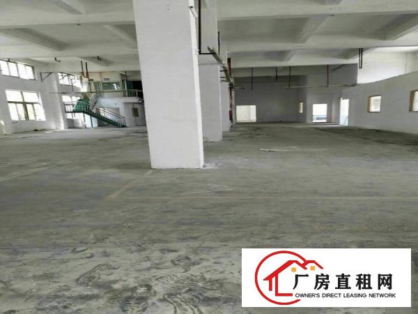 
坪地教育路6米高一楼厂房800平方米带装修出租