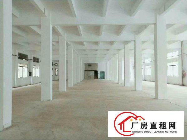 
龙岗科技园独院厂房12600平火热招租