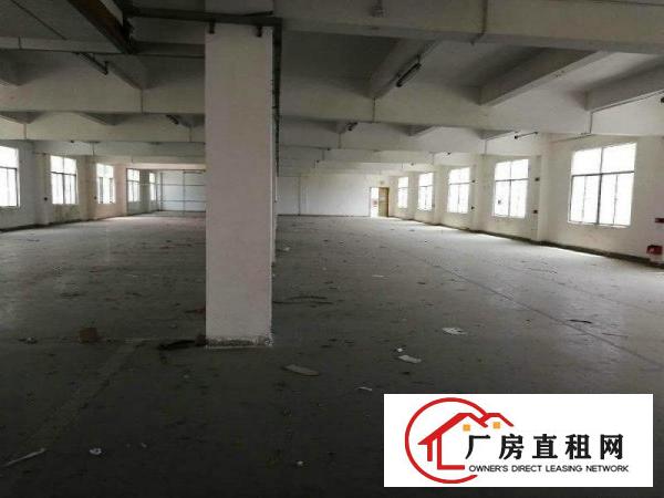 
龙岗坪地工业园新出厂房1500平17元出租