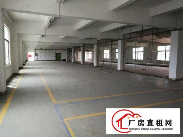 
龙岗坪地工业园新出厂房1500平17元出租