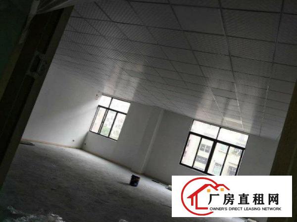 
原房东直租！坪地坪西一楼厂房520平米
