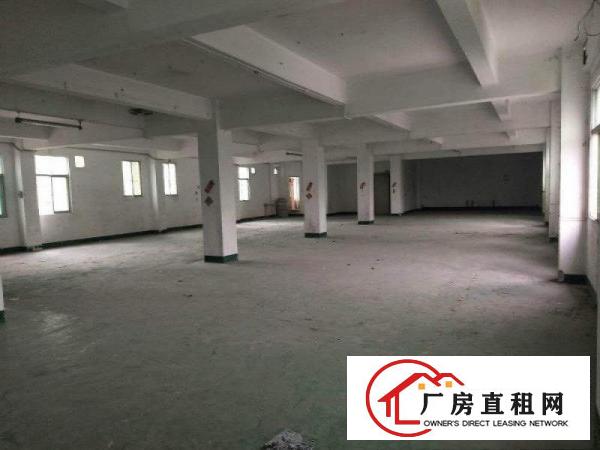 
龙岗独院厂房三层2800平底价出租