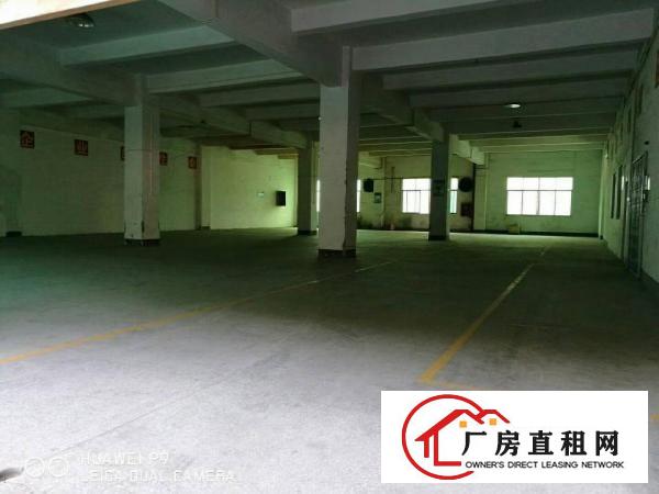
龙岗坪地标准一楼厂房500平方米（房东直租）
