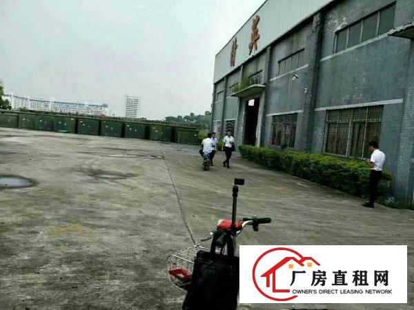 
龙岗标准钢构厂房高7米2800平方出租可分租